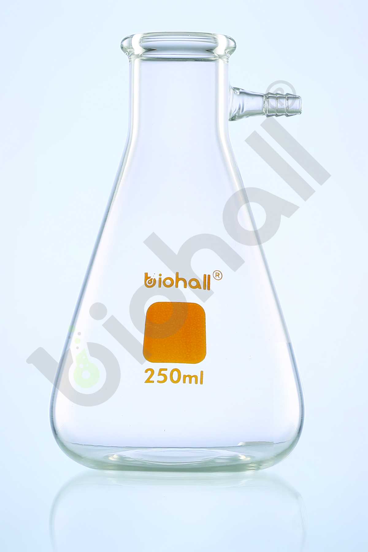 Filter Flask (Buchner Flask)